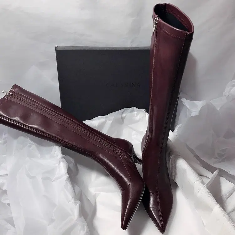 Designer Pointed Toe Women Str - Women'S Fashion Winter 2025 review and price